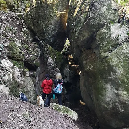 Renai E Monte Ii *