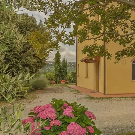 Renai E Monte Ii *